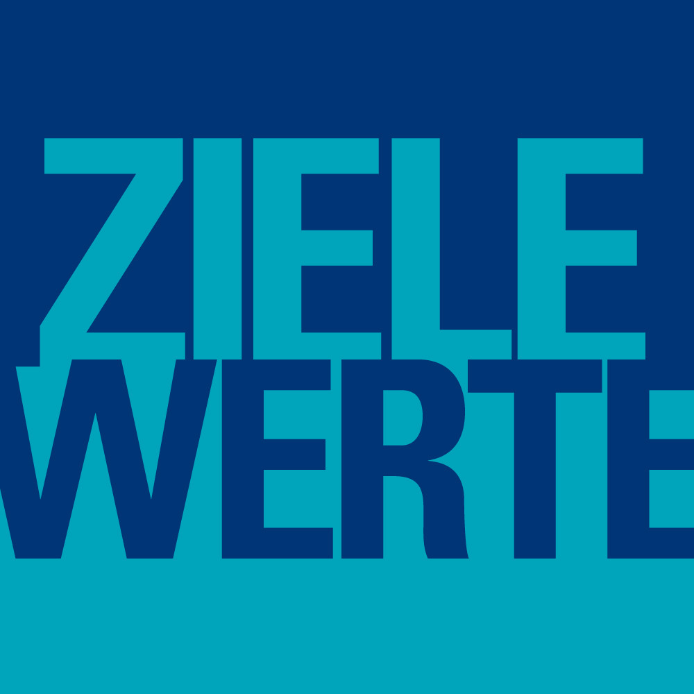 3a_LS_Ziele-Werte.jpg