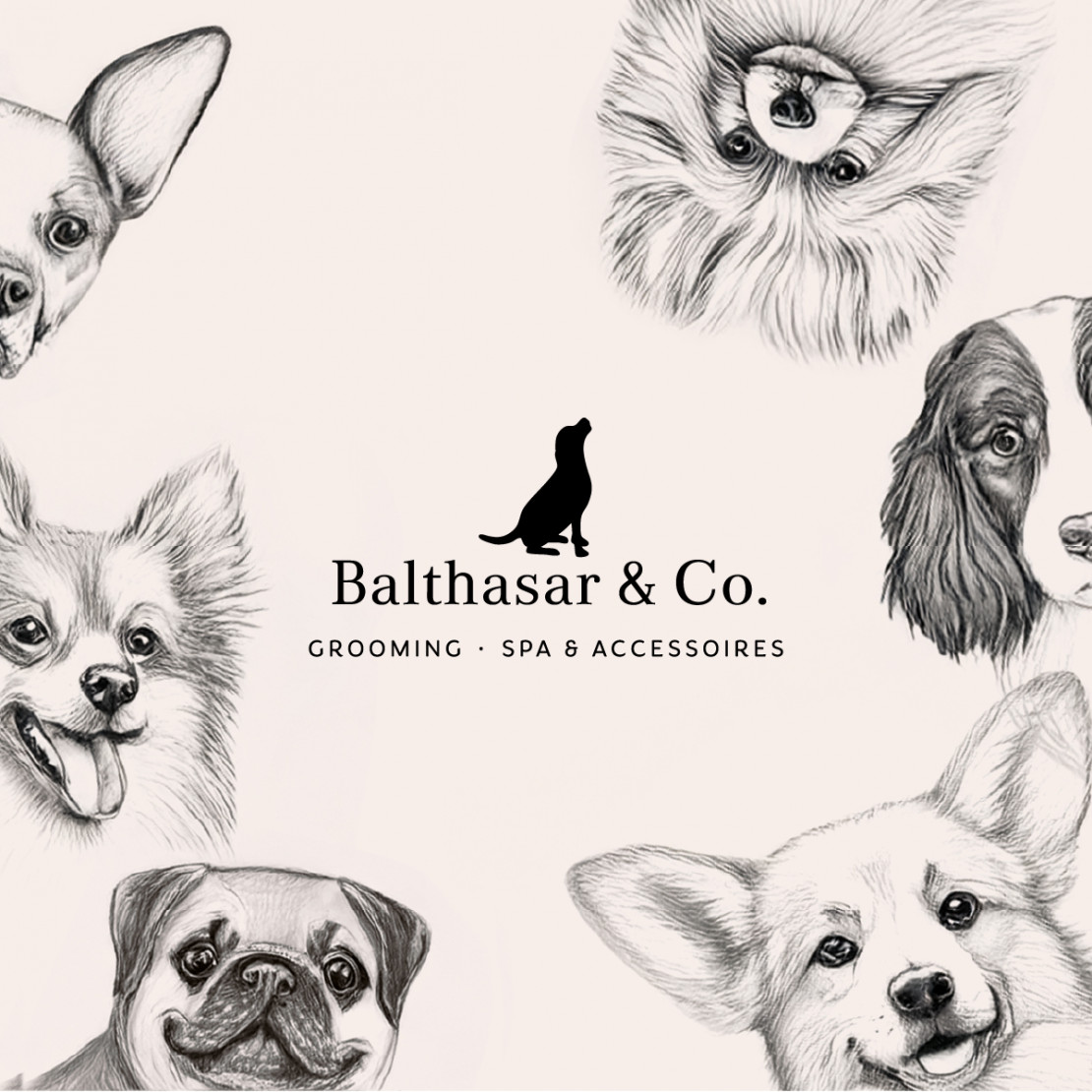 Balthasar-02.jpg