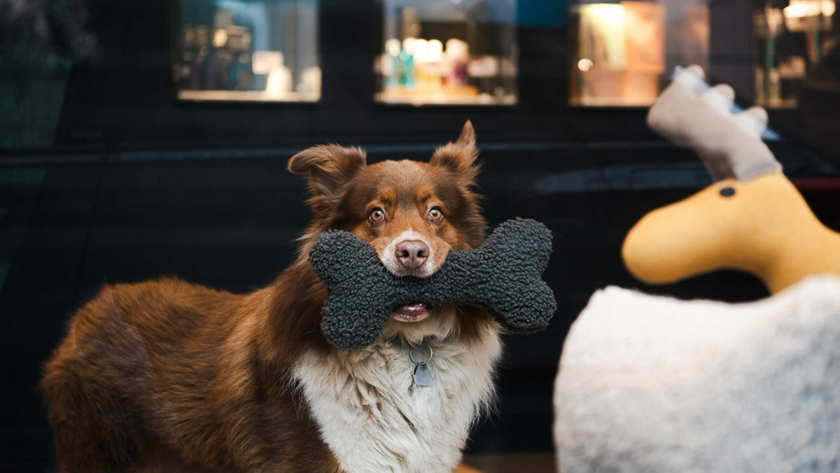 Markteintritt mit Wirkung: Die Er&ouml;ffnung von Balthasar & Co. in Kassel